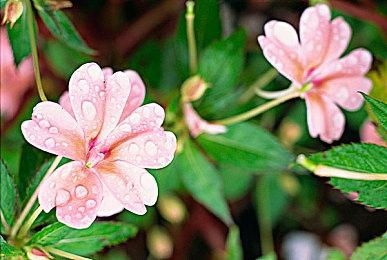 《夺宝奇兵：古老之圈》巨人教团DLC全球同步发行